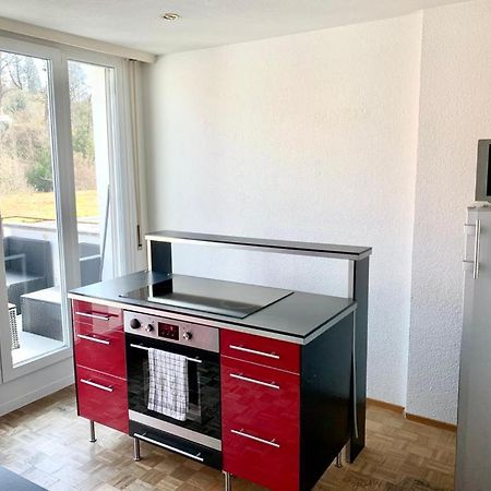 Hawa Apartment - Two Balcony - By Pa Luzern Buitenkant foto